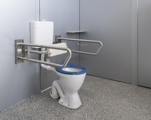 Toilet with Adult grab rails